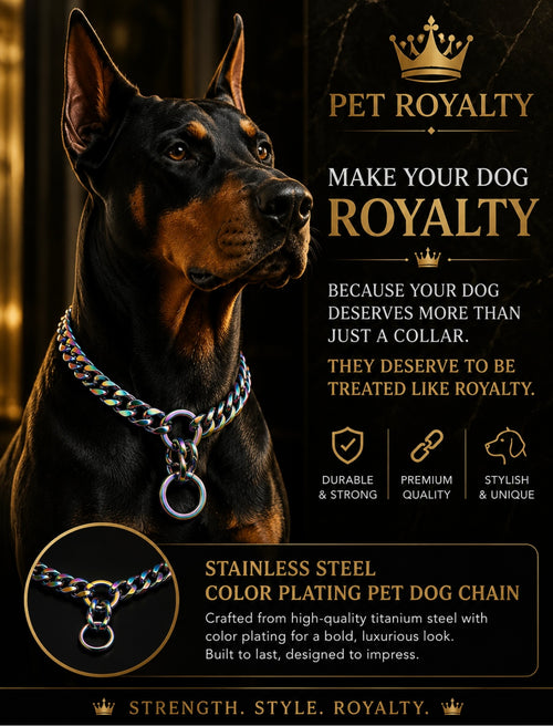 Stylish Titanium Steel Dog Chain with Color Plating